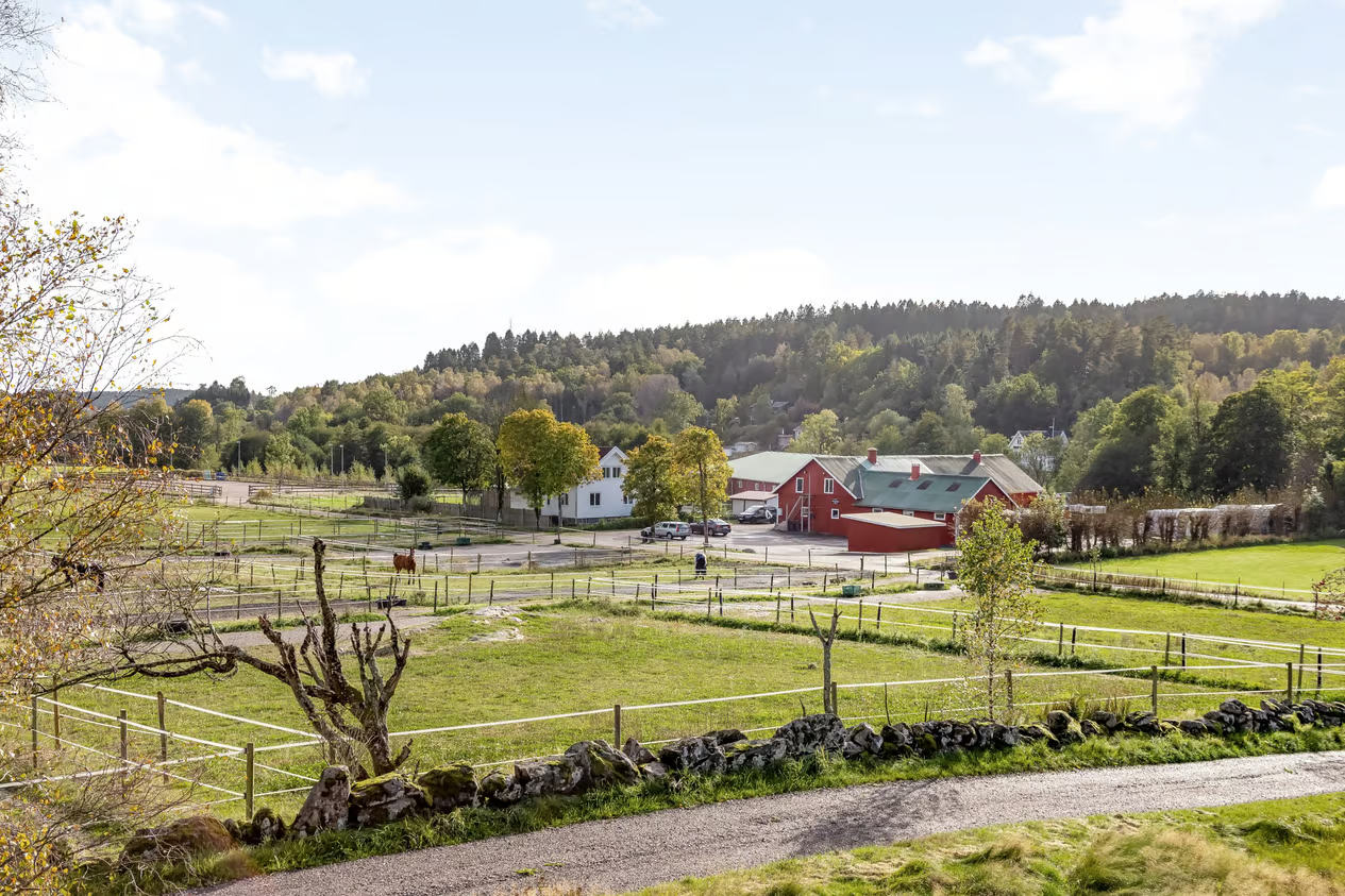 Thorsgården